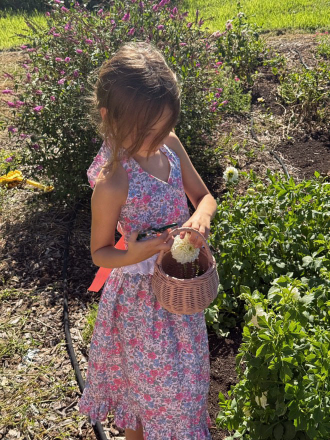 Pink Petals Crossover Top