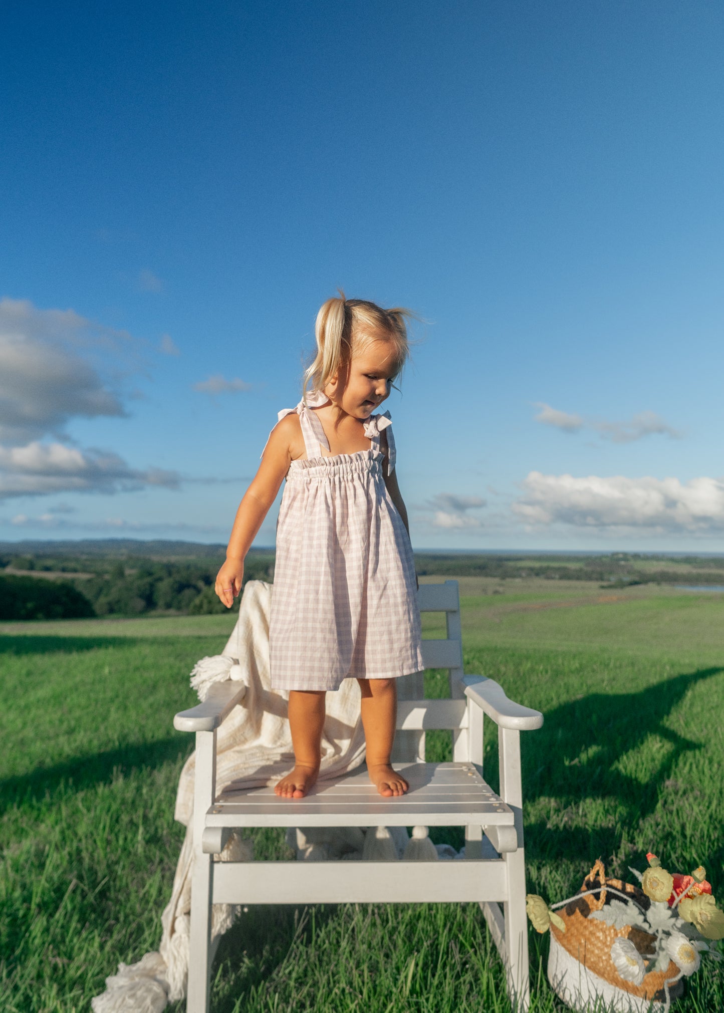 Lavender Gingham Dress