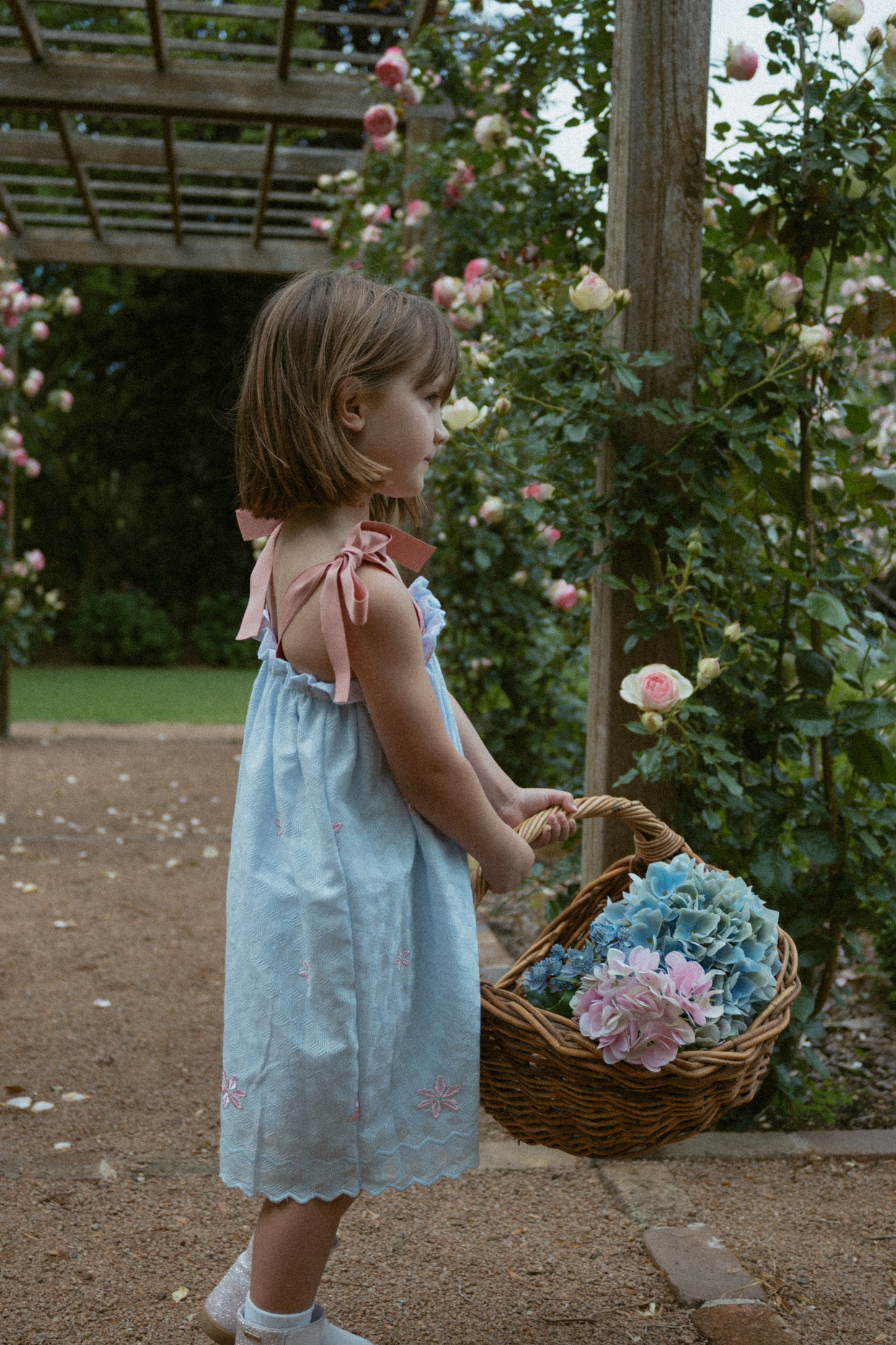 LuLu Dress